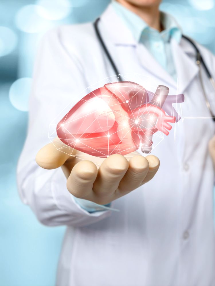 Heart Specialist